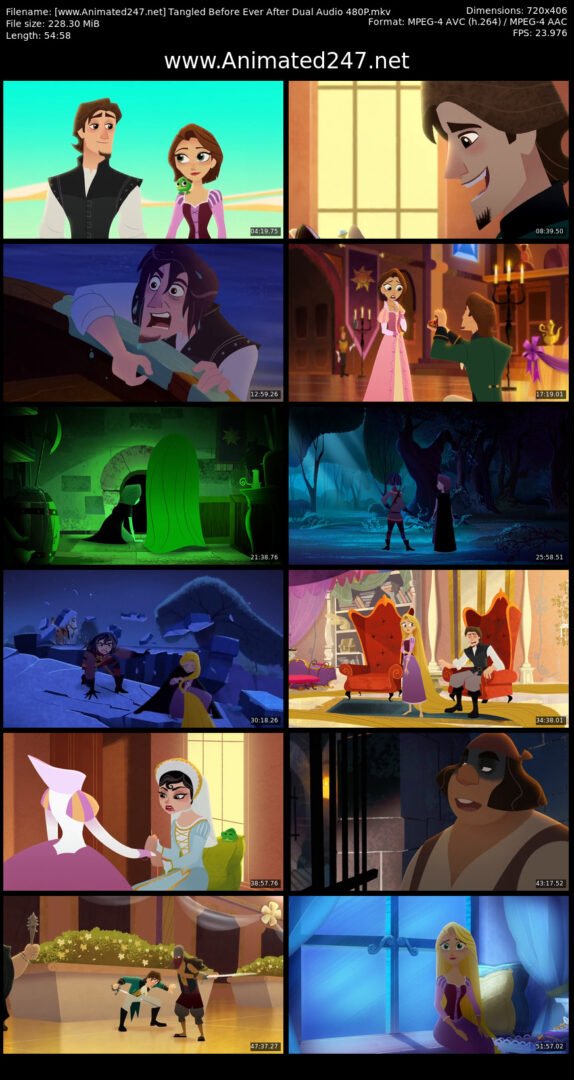 Tangled Before Ever After English & Hindi Dubbed 300MB 480P