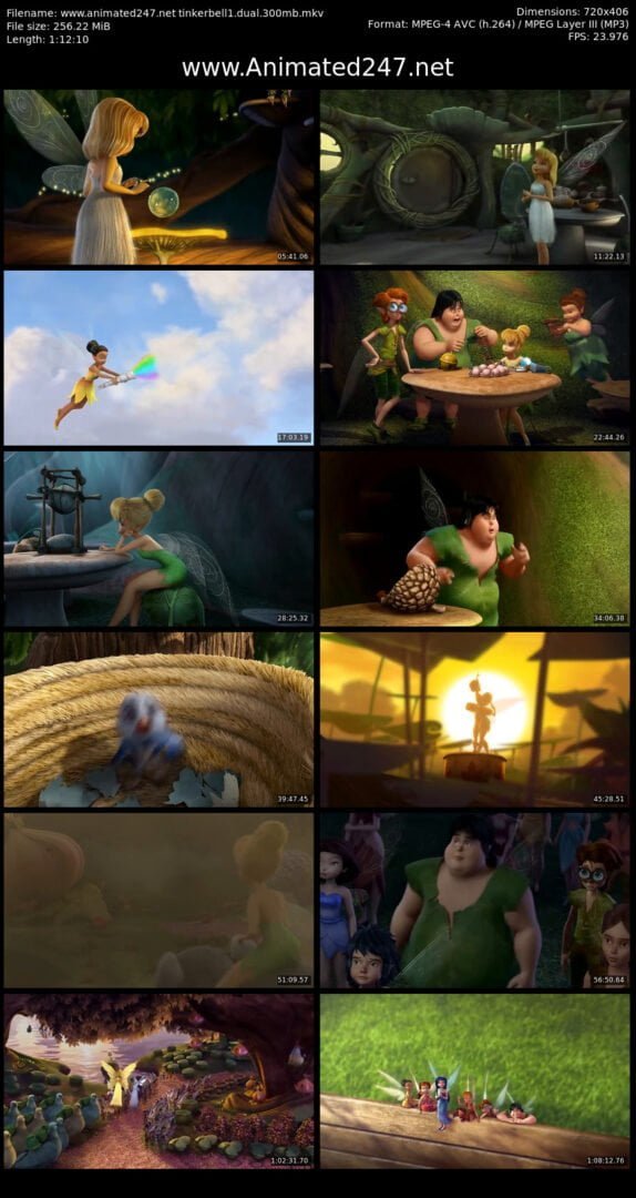 Tinker Bell 2008 300MB 480p BRRip Dual Audio Hindi English Free Download