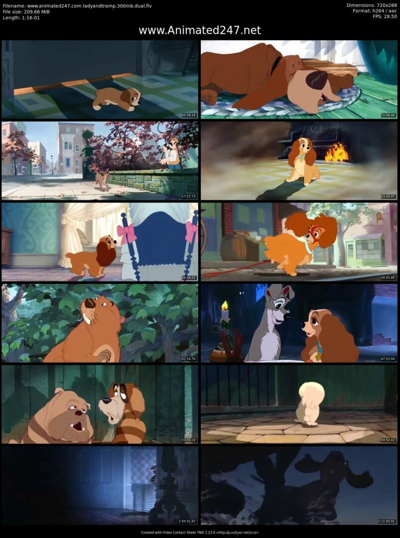 Lady and The Tramp 1955 Full Movie in Hindi Download Free Disney online 300MB 480P
