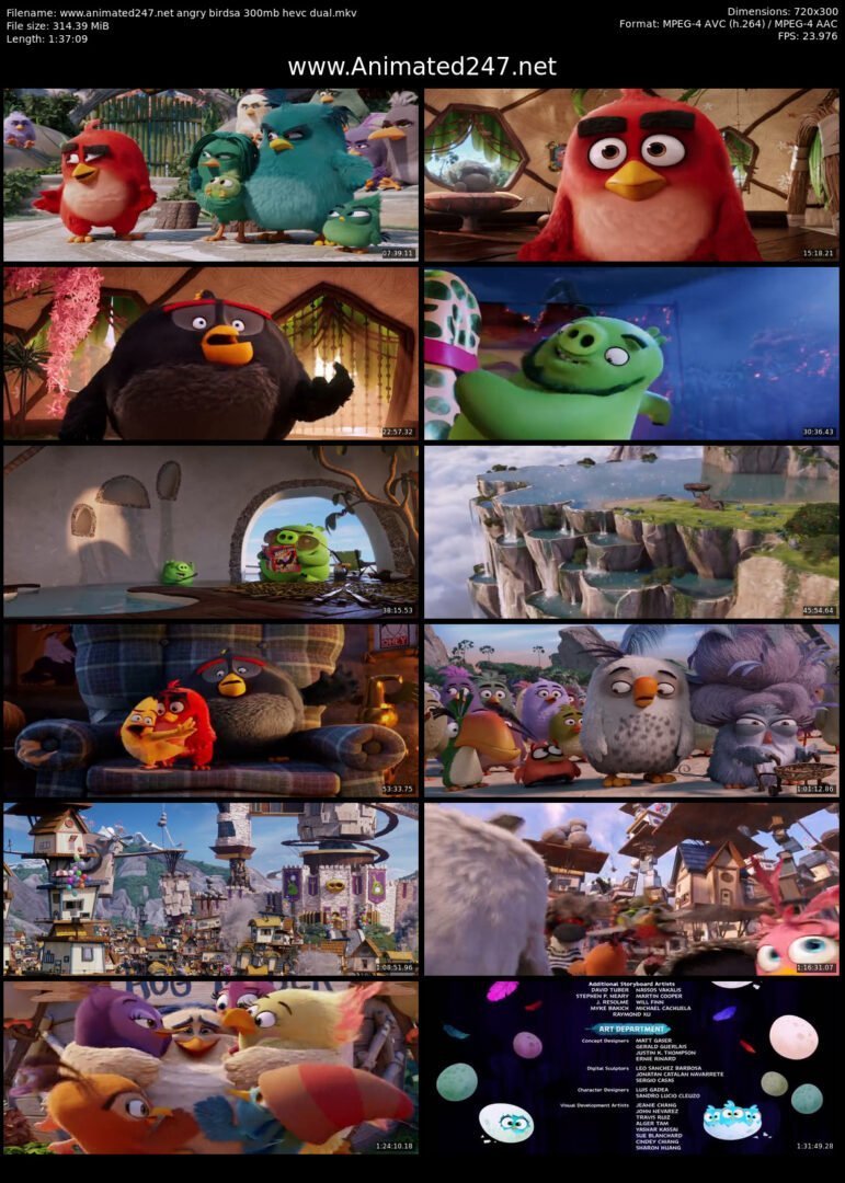 Angry Birds English and Hindi Dual Audio HD 720P