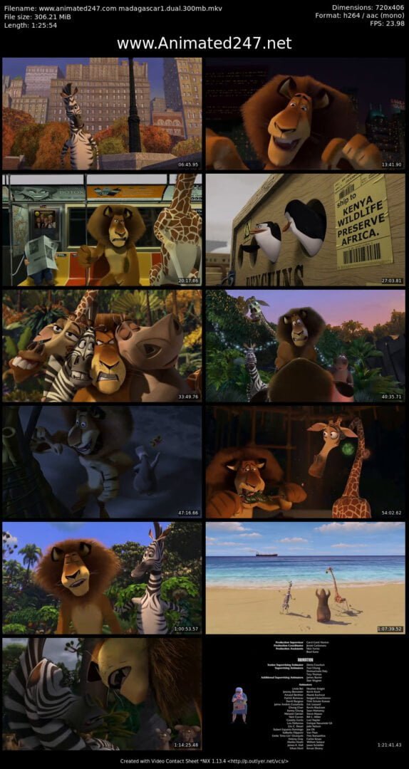 Madagascar Free Download English and Hindi Dubbed 300MB
