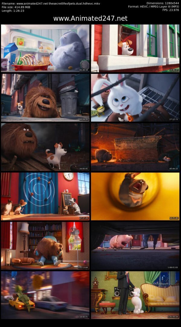 The Secret Life of Pets Full Movie Download in Hindi 720P Dual Audio 480P & 720P