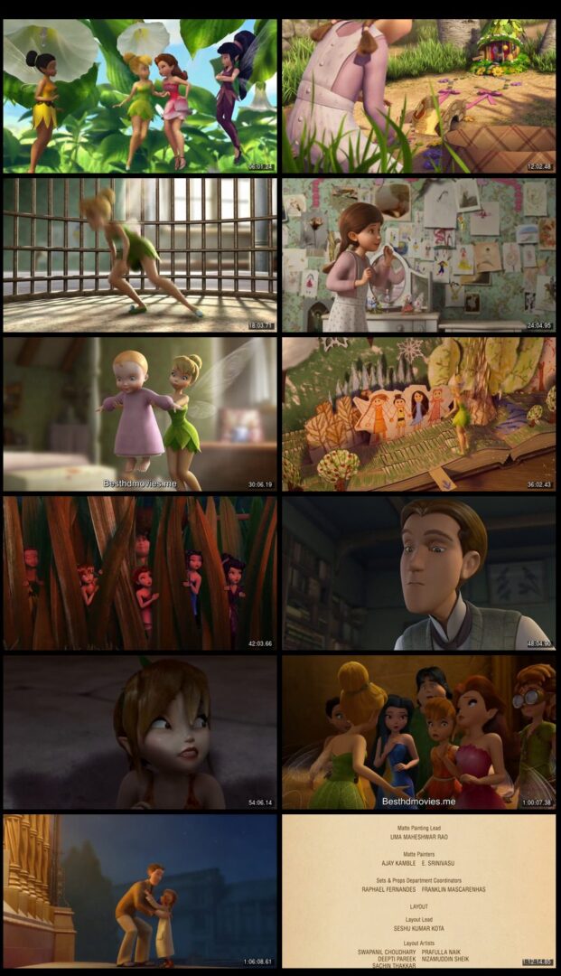 tinker-bell-and-the-great-fairy-rescue-2010-dual-audio-720p-bluraywww-animated247-com_-mkv-3334616