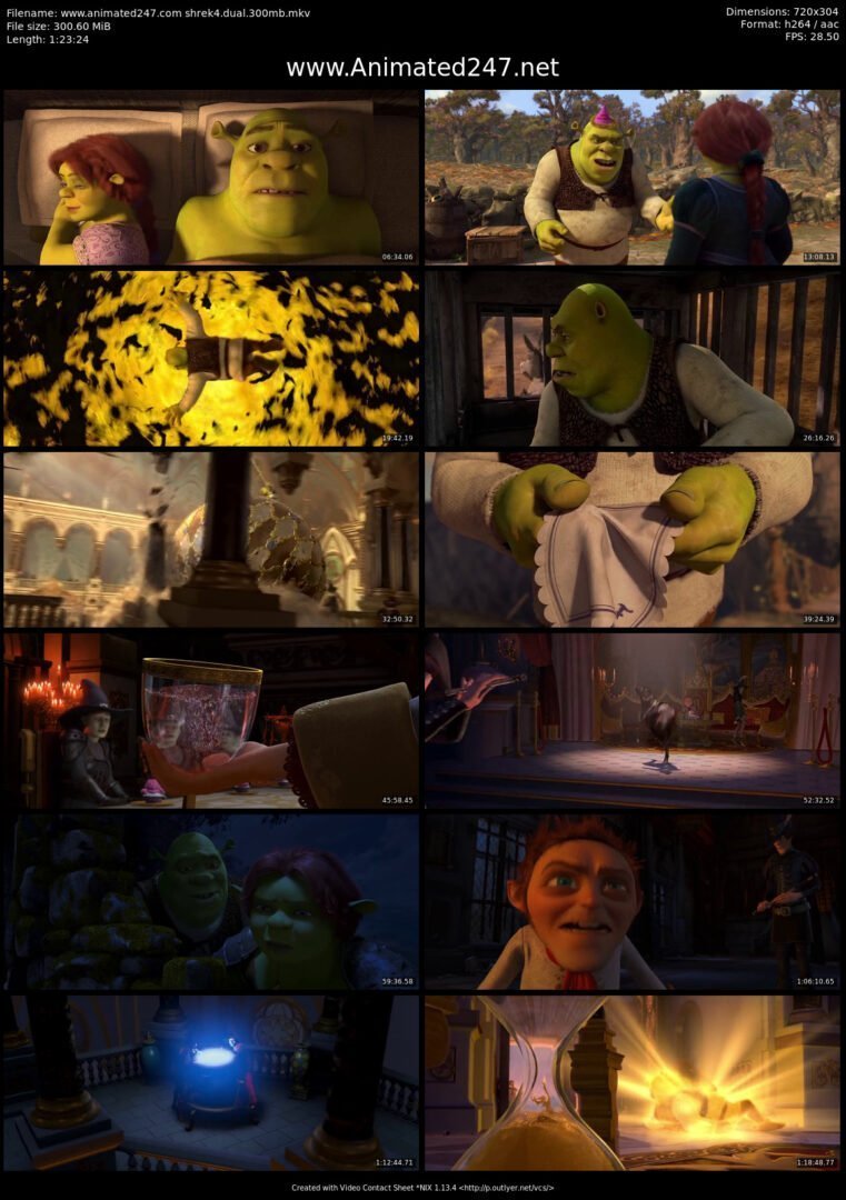 Shrek 4 The Final Chapter Movie Free Download Dual Audio 300MB