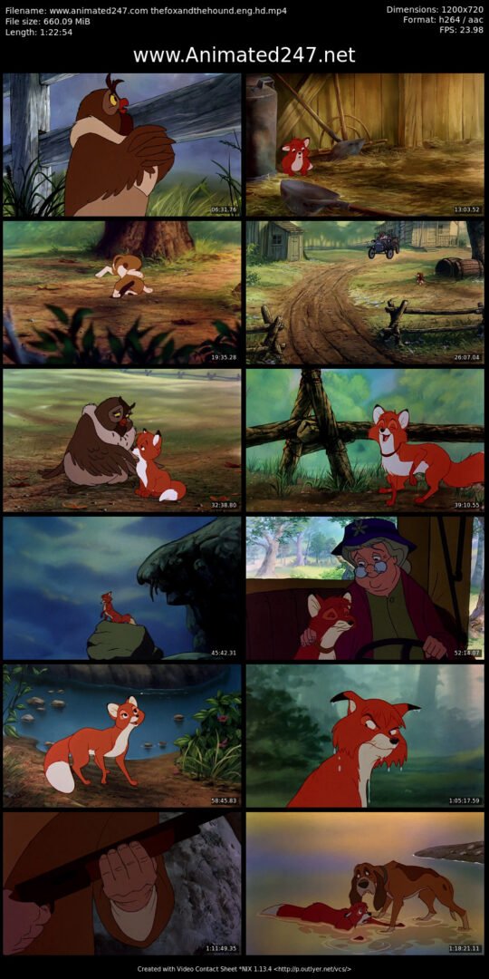 The Fox and The Hound Free Download Full Movie HD DVDRip